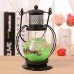 biZyug Gel Wax Decorative Lantern (Assorted Colour, Pack of 1)