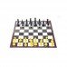 Magnetic Chess